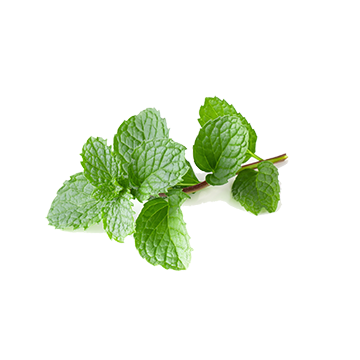 和薄荷