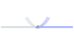 熨斗紙・懸け紙5
