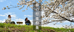 ～お花見×アウトドア×日本酒で大人の休日～春の行楽特集